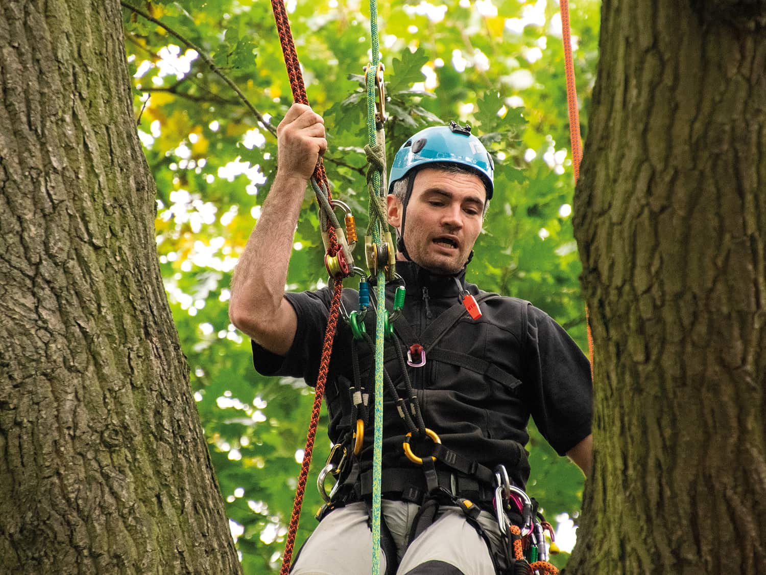 Two Rope Working update - Kingswood Training