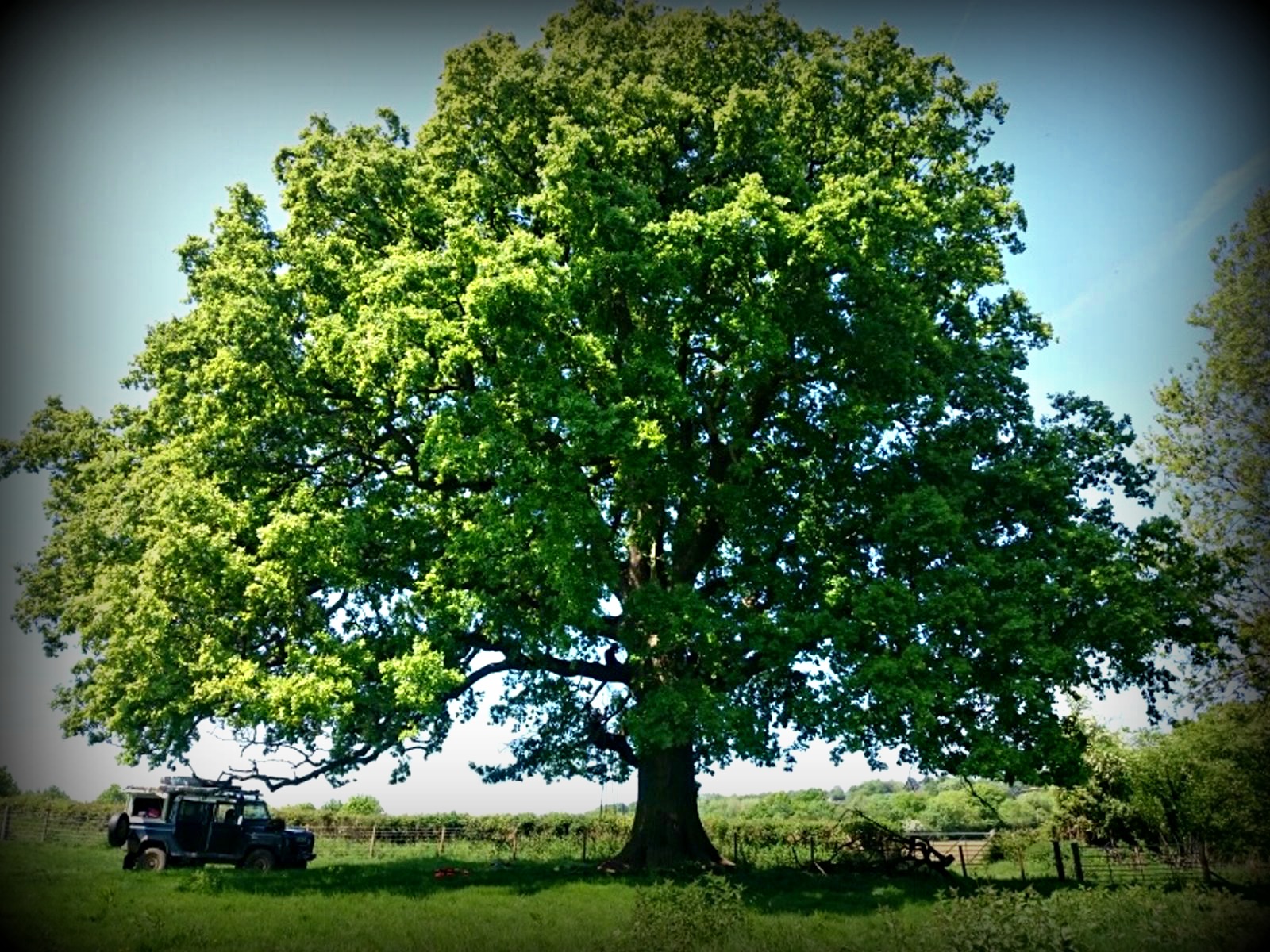 One of our new sites in The Weald, Kent 14th May 2018